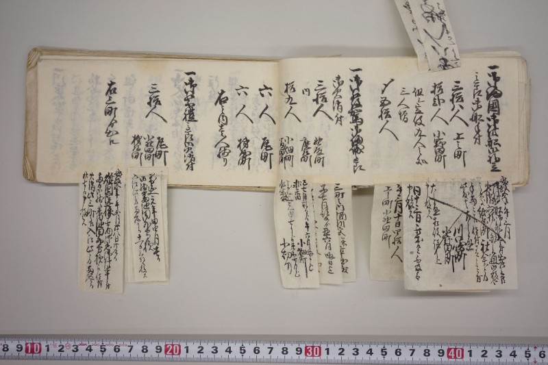 文政七年申正月改　火事役手扣 - ページ 51