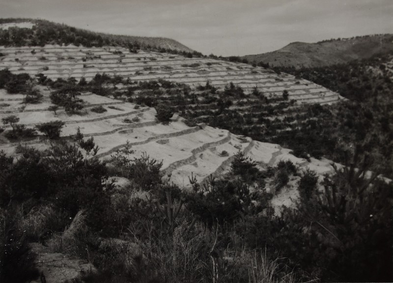 山地荒廃復旧事業（治山工事） - ページ 1